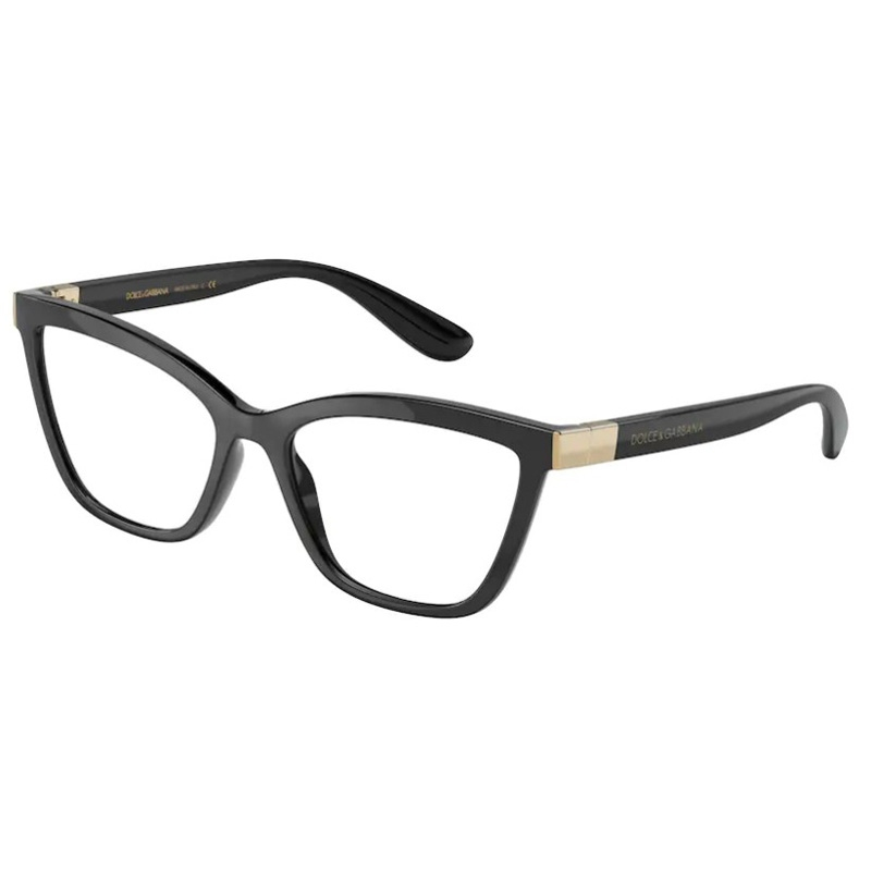 DOLCE E GABBANA 0DG5076-501