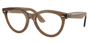 Ray Ban 0RX2241V-8198