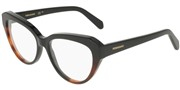 Salvatore Ferragamo SF3046-006